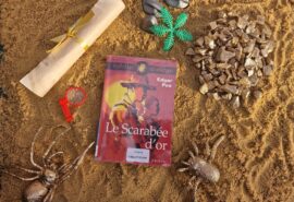Bookstagram en 4e !